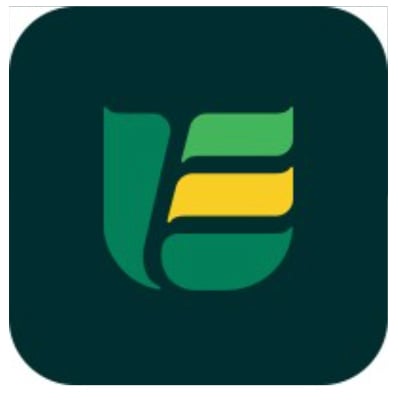 Snip 2026-02-06 14.38.08